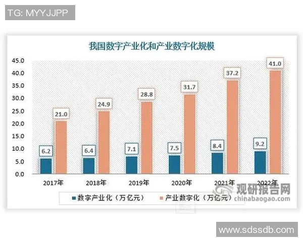 体育数字藏品市场发展趋势与未来前景分析